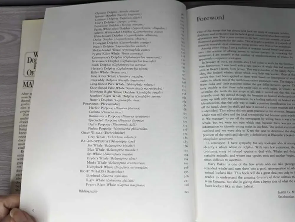 Vintage 1987 Whales, Dolphins and Porpoises of the World Hardcover Book